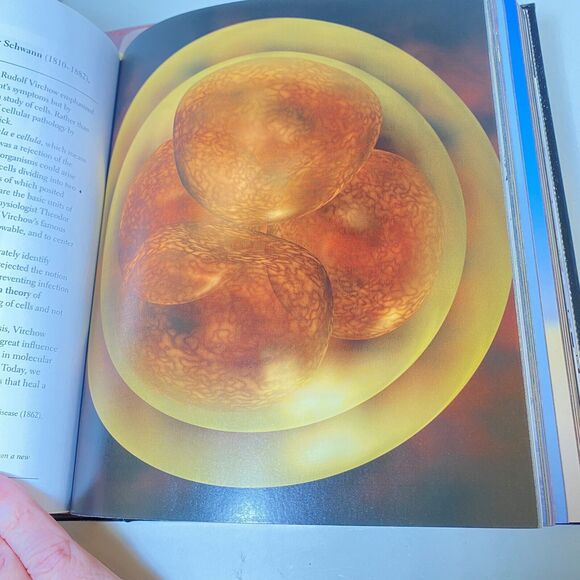 THE MEDICAL BOOK Brand New Clifford Pickover, Gold Gilt Pages Pristine Condition - Picture 8 of 12